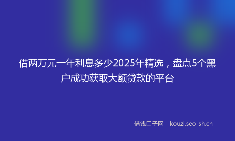 借两万元一年利息多少2025年精选，盘点5个黑户成功获取大额贷款的平台