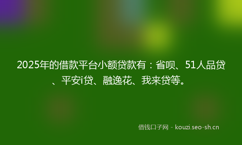 2025年的借款平台小额贷款有:省呗、51人品贷、平安i贷、融逸花、我来贷等。