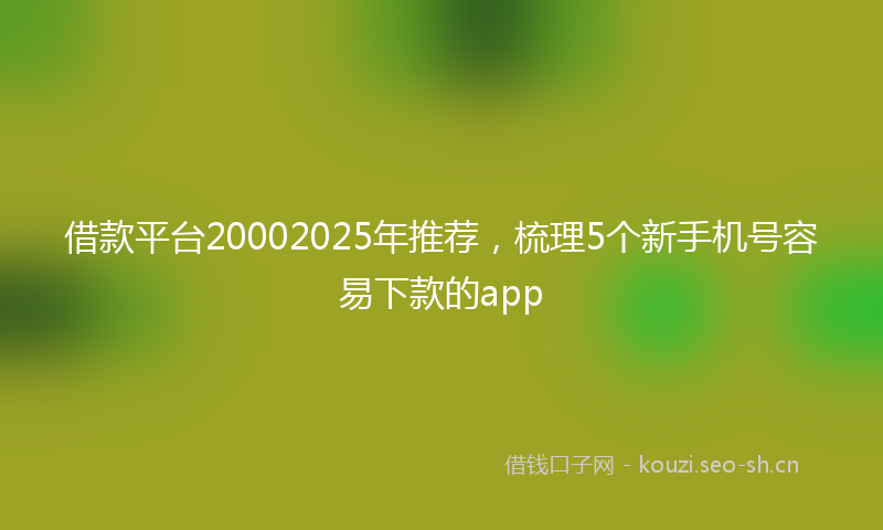 借款平台20002025年推荐，梳理5个新手机号容易下款的app