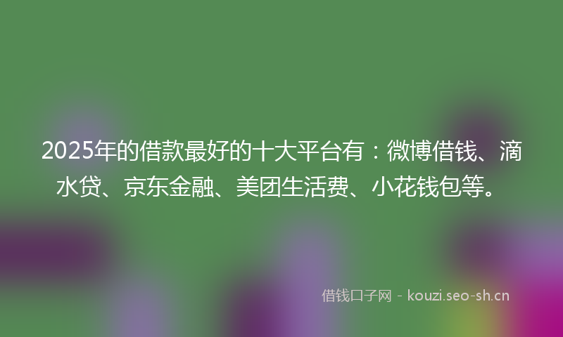 2025年的借款最好的十大平台有：微博借钱、滴水贷、京东金融、美团生活费、小花钱包等。