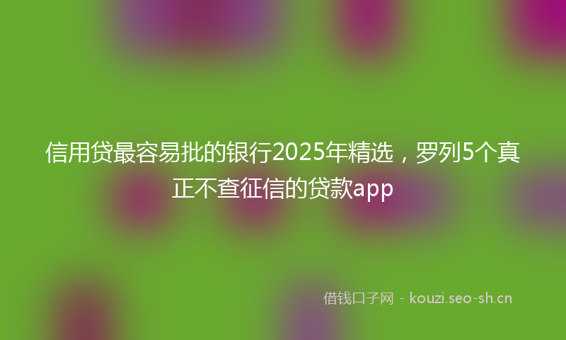 信用贷最容易批的银行2025年精选，罗列5个真正不查征信的贷款app