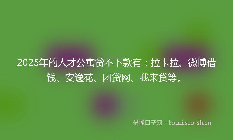 2025年的人才公寓贷不下款有：拉卡拉、微博借钱、安逸花、团贷网、我来贷等。