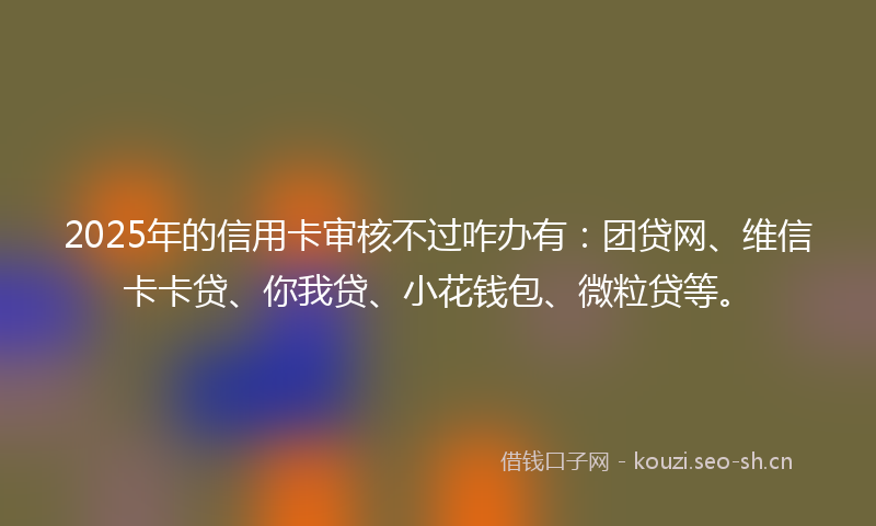 2025年的信用卡审核不过咋办有：团贷网、维信卡卡贷、你我贷、小花钱包、微粒贷等。