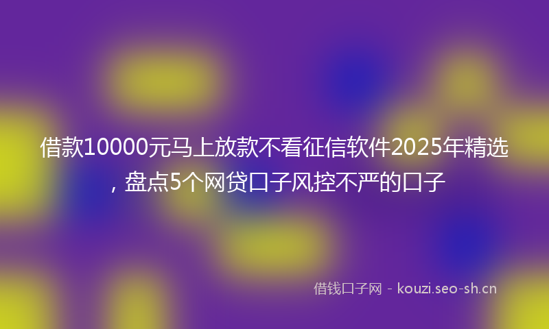 借款10000元马上放款不看征信软件2025年精选，盘点5个网贷口子风控不严的口子