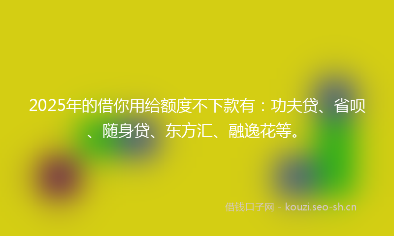 2025年的借你用给额度不下款有：功夫贷、省呗、随身贷、东方汇、融逸花等。