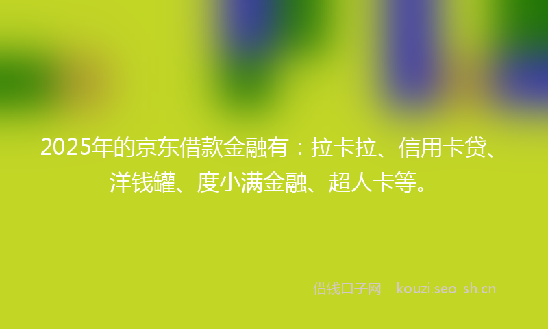 2025年的京东借款金融有：拉卡拉、信用卡贷、洋钱罐、度小满金融、超人卡等。