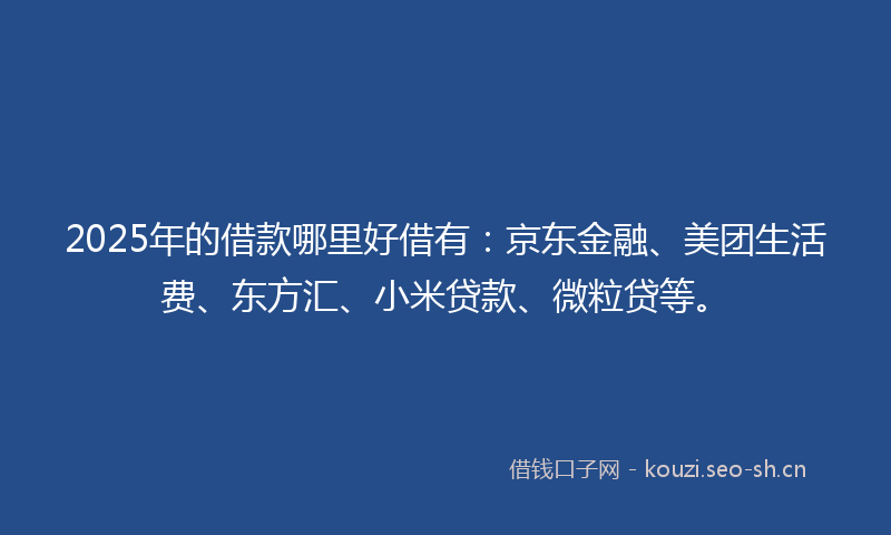 2025年的借款哪里好借有：京东金融、美团生活费、东方汇、小米贷款、微粒贷等。