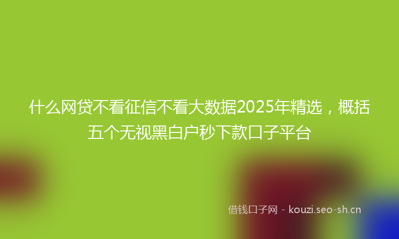 什么网贷不看征信不看大数据2025年精选，概括五个无视黑白户秒下款口子平台
