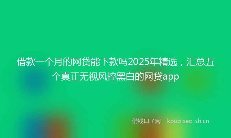借款一个月的网贷能下款吗2025年精选，汇总五个真正无视风控黑白的网贷app