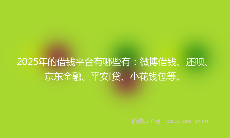 2025年的借钱平台有哪些有：微博借钱、还呗、京东金融、平安i贷、小花钱包等。