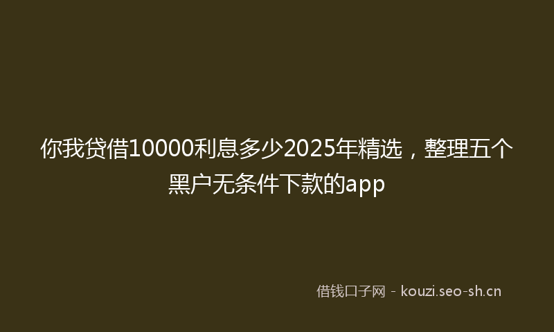 你我贷借10000利息多少2025年精选，整理五个黑户无条件下款的app