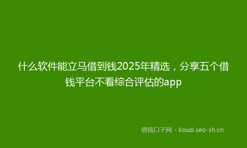 什么软件能立马借到钱2025年精选，分享五个借钱平台不看综合评估的app