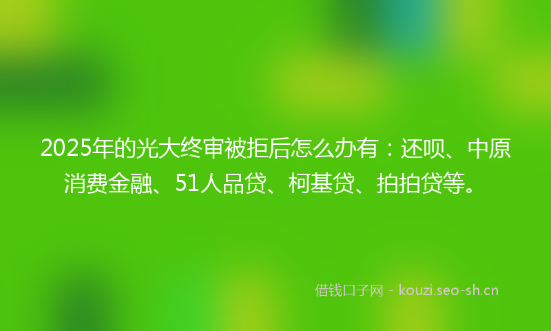 2025年的光大终审被拒后怎么办有：还呗、中原消费金融、51人品贷、柯基贷、拍拍贷等。