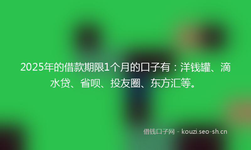 2025年的借款期限1个月的口子有：洋钱罐、滴水贷、省呗、投友圈、东方汇等。