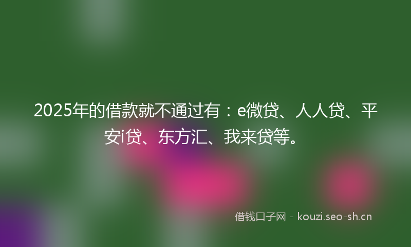 2025年的借款就不通过有:e微贷、人人贷、平安i贷、东方汇、我来贷等。