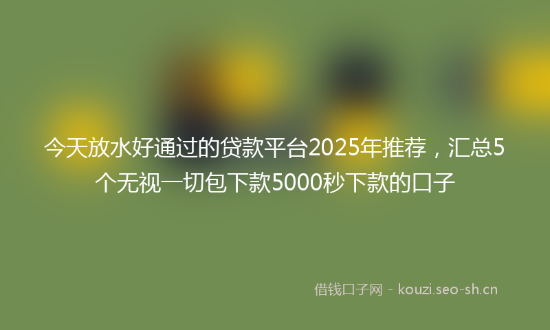 今天放水好通过的贷款平台2025年推荐，汇总5个无视一切包下款5000秒下款的口子