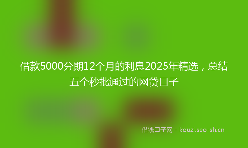 借款5000分期12个月的利息2025年精选，总结五个秒批通过的网贷口子