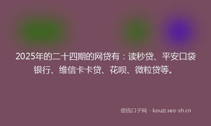 2025年的二十四期的网贷有：读秒贷、平安口袋银行、维信卡卡贷、花呗、微粒贷等。