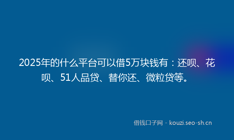 2025年的什么平台可以借5万块钱有：还呗、花呗、51人品贷、替你还、微粒贷等。