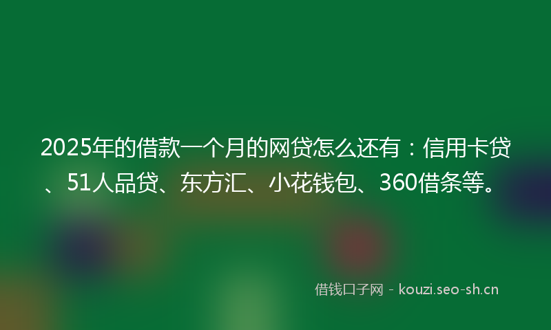 2025年的借款一个月的网贷怎么还有：信用卡贷、51人品贷、东方汇、小花钱包、360借条等。