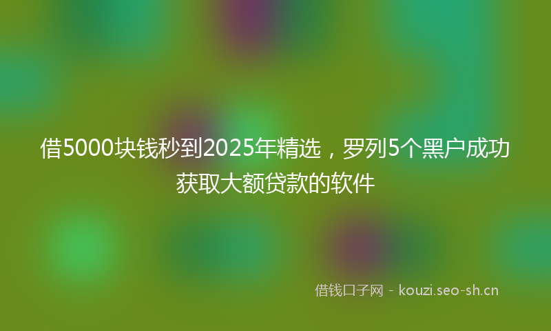 借5000块钱秒到2025年精选,罗列5个黑户成功获取大额贷款的软件