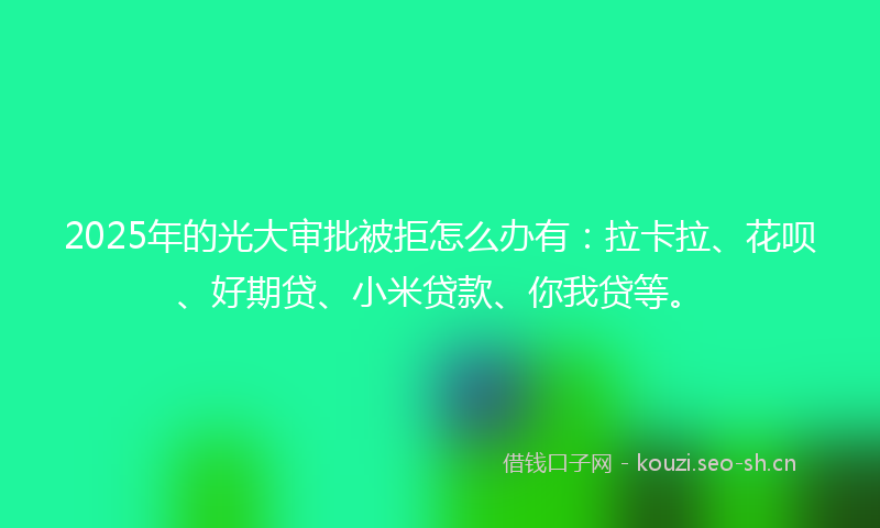 2025年的光大审批被拒怎么办有：拉卡拉、花呗、好期贷、小米贷款、你我贷等。