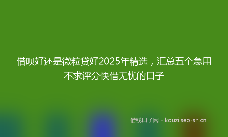借呗好还是微粒贷好2025年精选，汇总五个急用不求评分快借无忧的口子