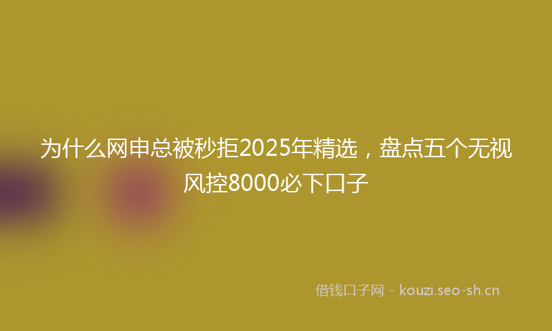 为什么网申总被秒拒2025年精选，盘点五个无视风控8000必下口子