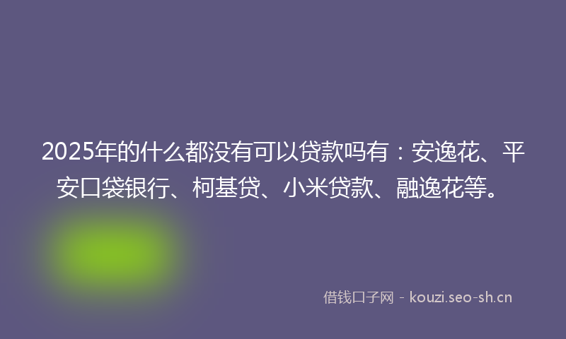 2025年的什么都没有可以贷款吗有：安逸花、平安口袋银行、柯基贷、小米贷款、融逸花等。