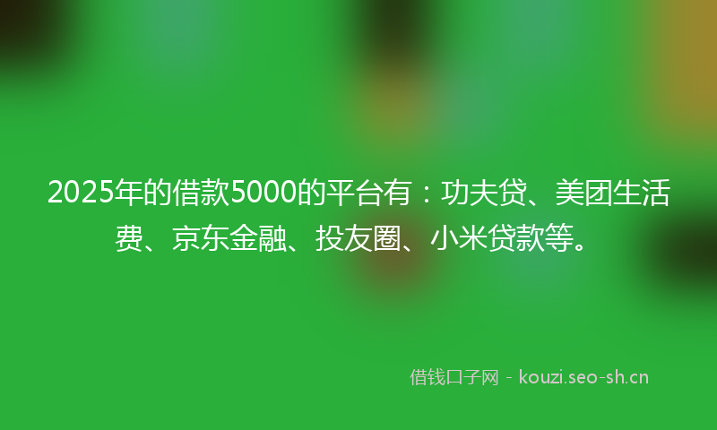 2025年的借款5000的平台有：功夫贷、美团生活费、京东金融、投友圈、小米贷款等。