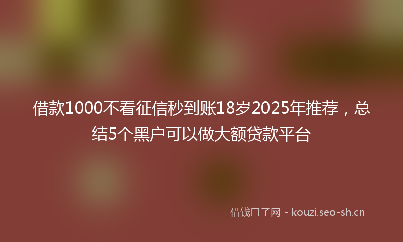 借款1000不看征信秒到账18岁2025年推荐，总结5个黑户可以做大额贷款平台