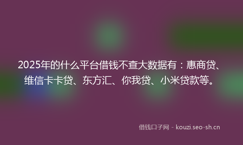 2025年的什么平台借钱不查大数据有：惠商贷、维信卡卡贷、东方汇、你我贷、小米贷款等。
