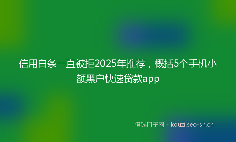 信用白条一直被拒2025年推荐，概括5个手机小额黑户快速贷款app