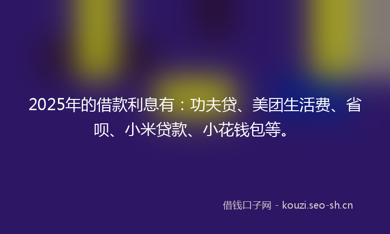2025年的借款利息有：功夫贷、美团生活费、省呗、小米贷款、小花钱包等。