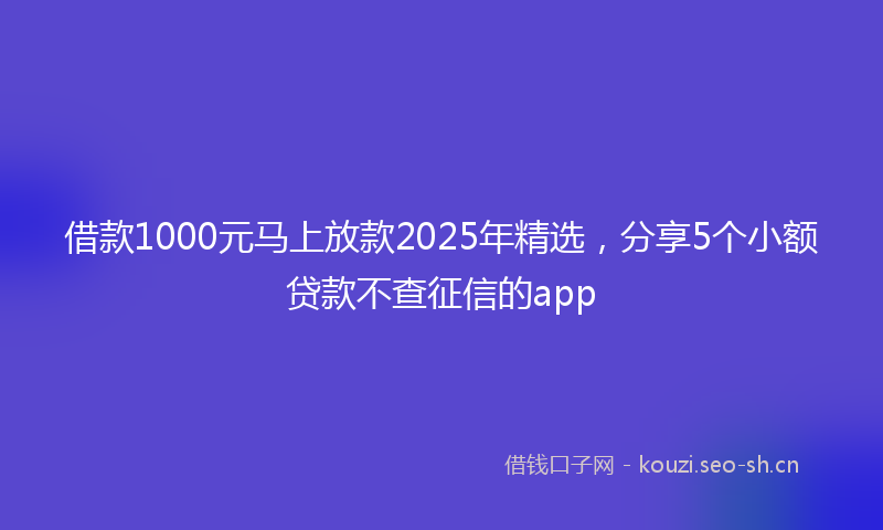 借款1000元马上放款2025年精选，分享5个小额贷款不查征信的app