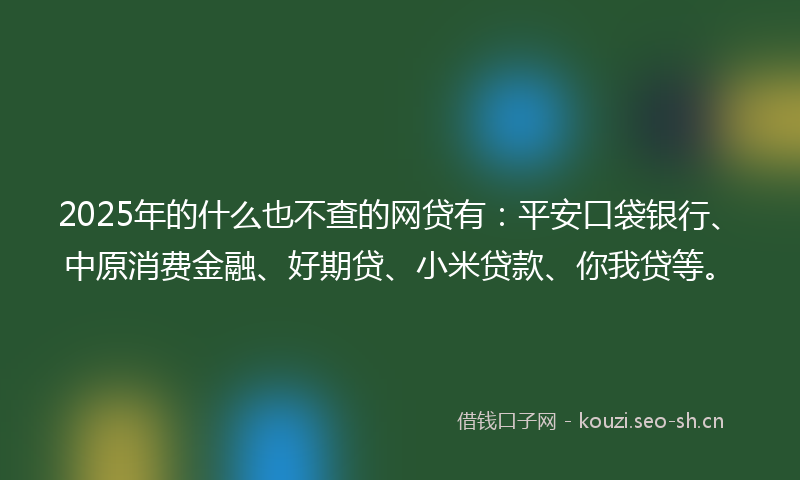 2025年的什么也不查的网贷有：平安口袋银行、中原消费金融、好期贷、小米贷款、你我贷等。