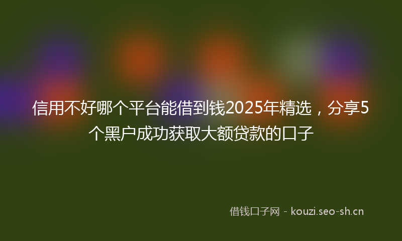 信用不好哪个平台能借到钱2025年精选,分享5个黑户成功获取大额贷款的口子