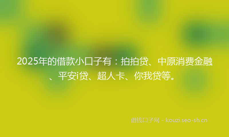 2025年的借款小口子有：拍拍贷、中原消费金融、平安i贷、超人卡、你我贷等。