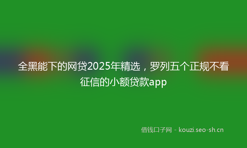 全黑能下的网贷2025年精选，罗列五个正规不看征信的小额贷款app
