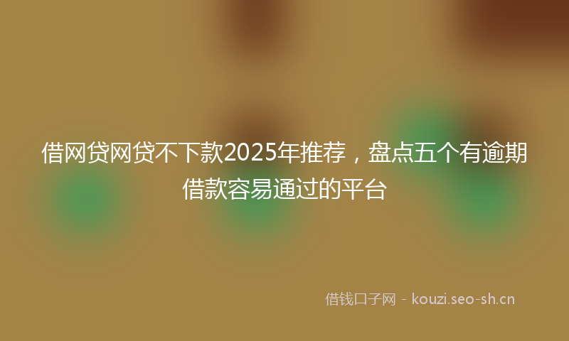 借网贷网贷不下款2025年推荐，盘点五个有逾期借款容易通过的平台