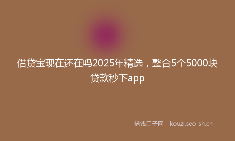 借贷宝现在还在吗2025年精选，整合5个5000块贷款秒下app