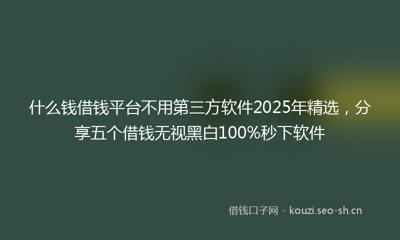 什么钱借钱平台不用第三方软件2025年精选，分享五个借钱无视黑白100%秒下软件