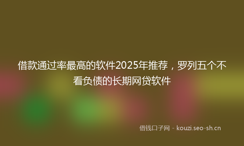 借款通过率最高的软件2025年推荐，罗列五个不看负债的长期网贷软件