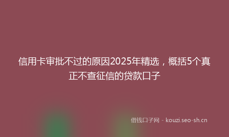 信用卡审批不过的原因2025年精选，概括5个真正不查征信的贷款口子