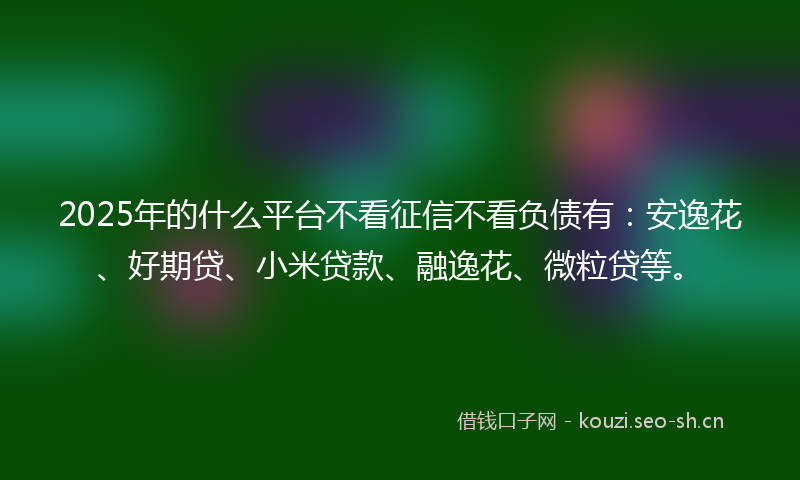 2025年的什么平台不看征信不看负债有：安逸花、好期贷、小米贷款、融逸花、微粒贷等。