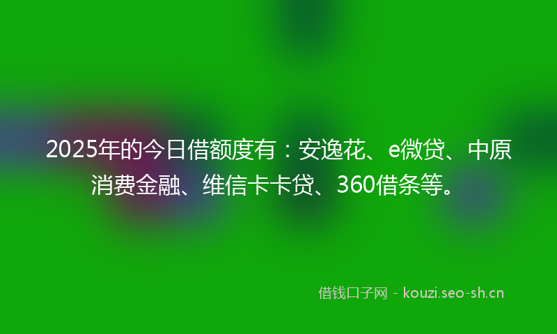 2025年的今日借额度有:安逸花、e微贷、中原消费金融、维信卡卡贷、360借条等。