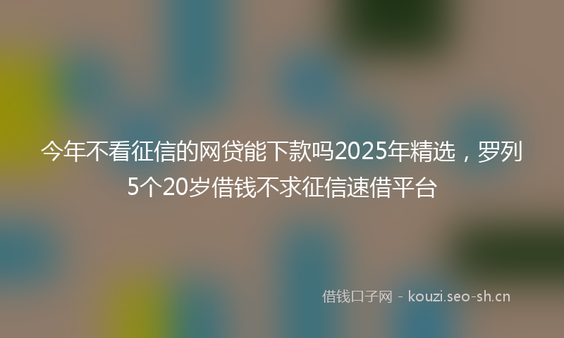 今年不看征信的网贷能下款吗2025年精选，罗列5个20岁借钱不求征信速借平台