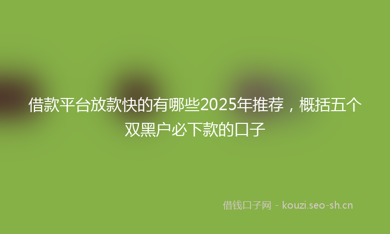 借款平台放款快的有哪些2025年推荐，概括五个双黑户必下款的口子