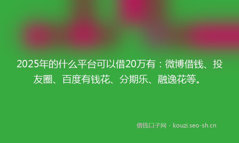 2025年的什么平台可以借20万有：微博借钱、投友圈、百度有钱花、分期乐、融逸花等。