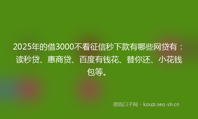 2025年的借3000不看征信秒下款有哪些网贷有：读秒贷、惠商贷、百度有钱花、替你还、小花钱包等。